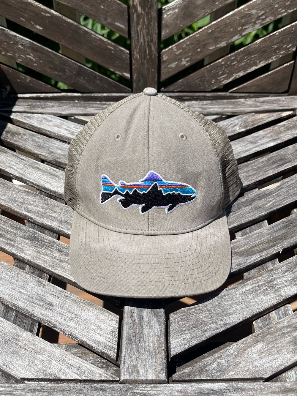 Patagonia Fitz Roy Trout Trucker Hat